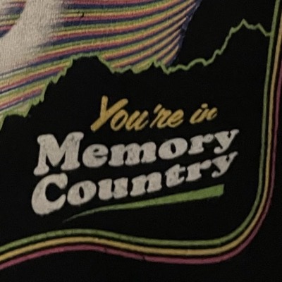 vacuumfountain@tenforward.social